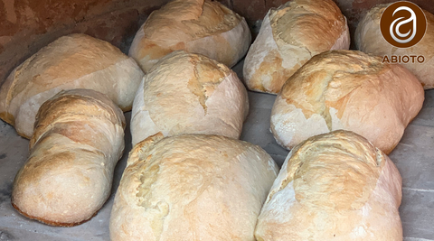 bread proofing box